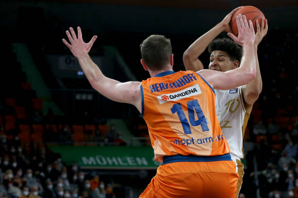 他们稳定的 他们稳定的