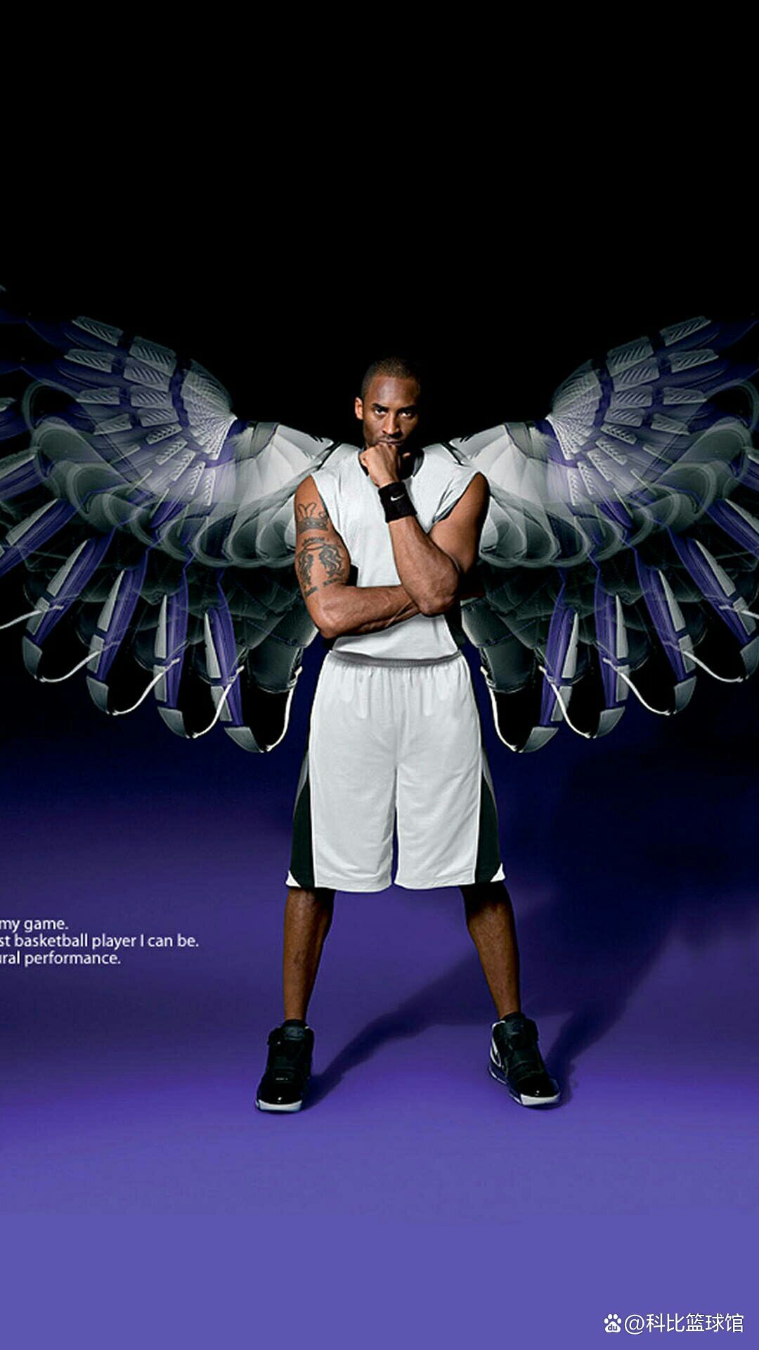 场可能会变 场可能会变